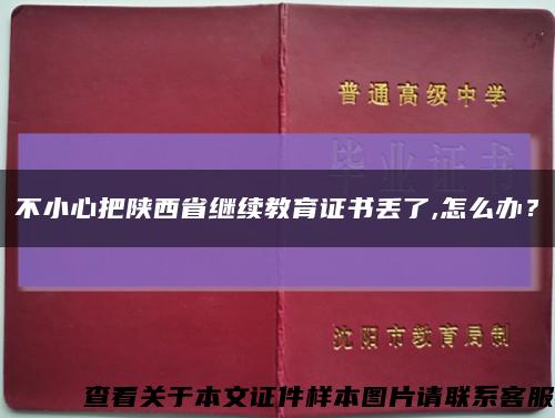 不小心把陕西省继续教育证书丢了,怎么办？缩略图