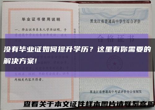 没有毕业证如何提升学历？这里有你需要的解决方案!缩略图