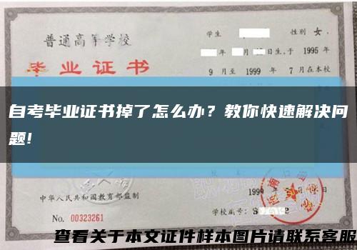 自考毕业证书掉了怎么办？教你快速解决问题!缩略图