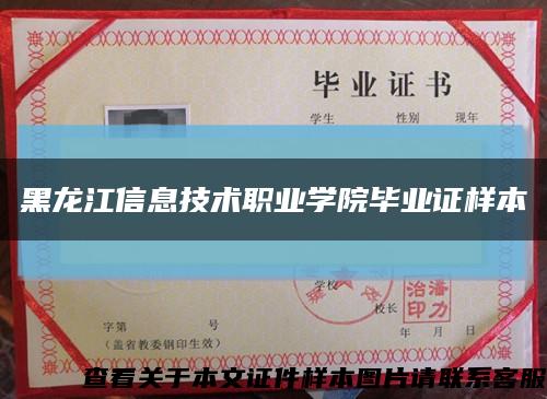 黑龙江信息技术职业学院毕业证样本缩略图