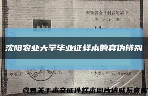 沈阳农业大学毕业证样本的真伪辨别缩略图