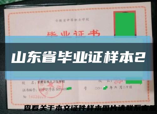 山东省毕业证样本2缩略图