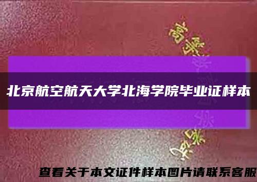 北京航空航天大学北海学院毕业证样本缩略图