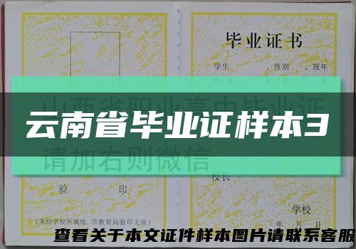 云南省毕业证样本3缩略图