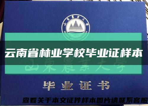 云南省林业学校毕业证样本缩略图