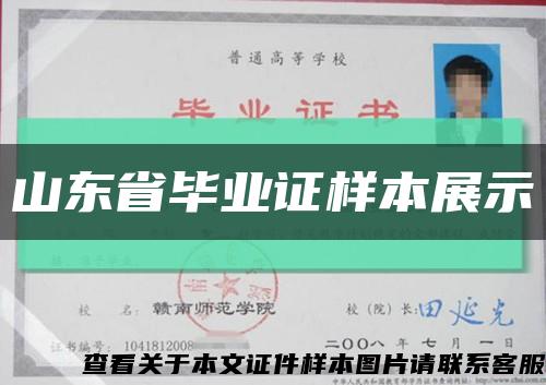 山东省毕业证样本展示缩略图