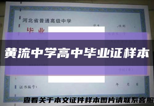 黄流中学高中毕业证样本缩略图