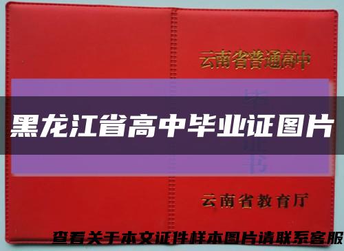 黑龙江省高中毕业证图片缩略图