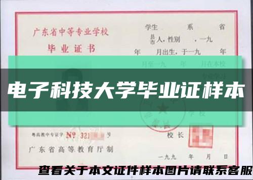 电子科技大学毕业证样本缩略图