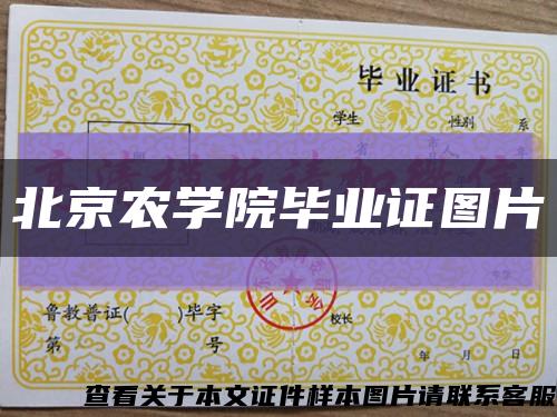 北京农学院毕业证图片缩略图