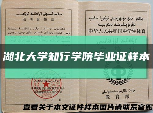 湖北大学知行学院毕业证样本缩略图