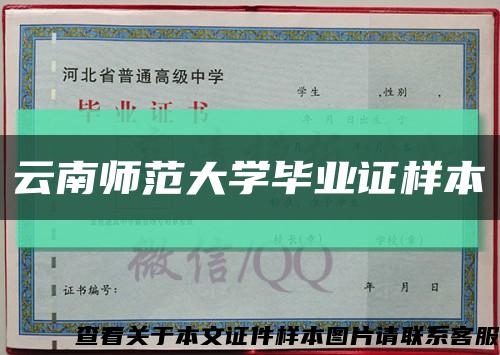云南师范大学毕业证样本缩略图