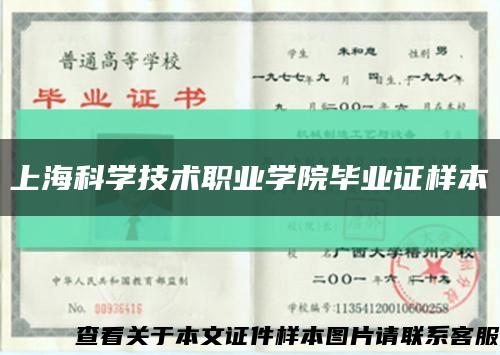 上海科学技术职业学院毕业证样本缩略图