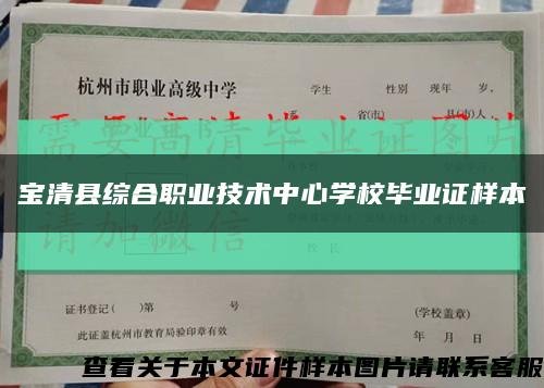 宝清县综合职业技术中心学校毕业证样本缩略图