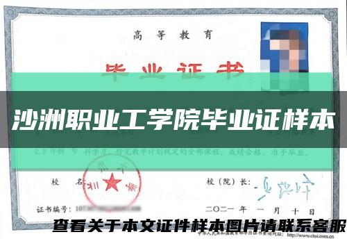 沙洲职业工学院毕业证样本缩略图