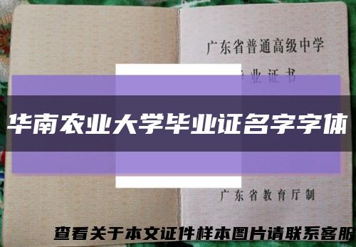 华南农业大学毕业证名字字体缩略图