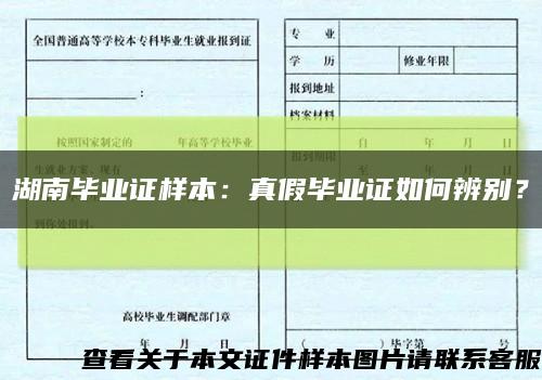 湖南毕业证样本：真假毕业证如何辨别？缩略图