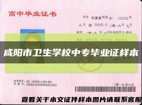 咸阳市卫生学校中专毕业证样本缩略图