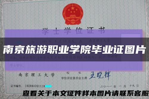 南京旅游职业学院毕业证图片缩略图