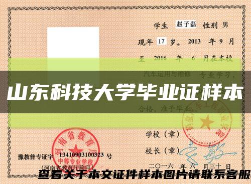 山东科技大学毕业证样本缩略图