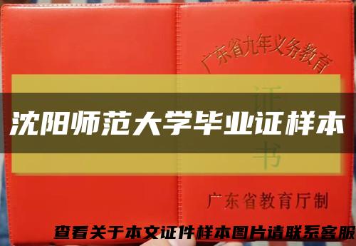 沈阳师范大学毕业证样本缩略图