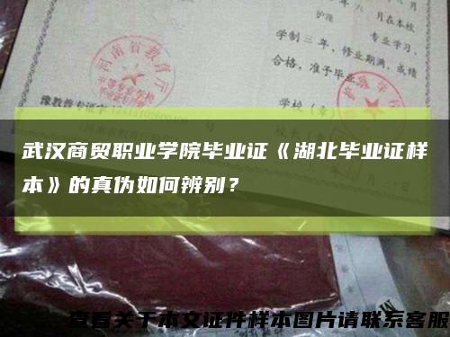 武汉商贸职业学院毕业证《湖北毕业证样本》的真伪如何辨别？缩略图
