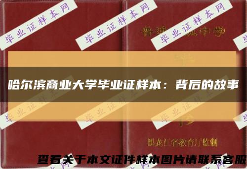 哈尔滨商业大学毕业证样本：背后的故事缩略图