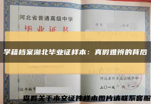 学籍档案湖北毕业证样本：真假难辨的背后缩略图