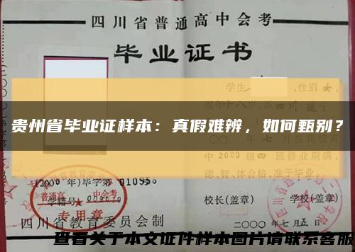 贵州省毕业证样本：真假难辨，如何甄别？缩略图