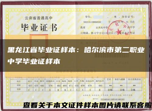 黑龙江省毕业证样本：哈尔滨市第二职业中学毕业证样本缩略图