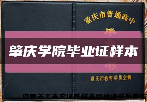 肇庆学院毕业证样本缩略图