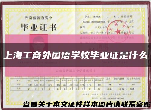 上海工商外国语学校毕业证是什么缩略图
