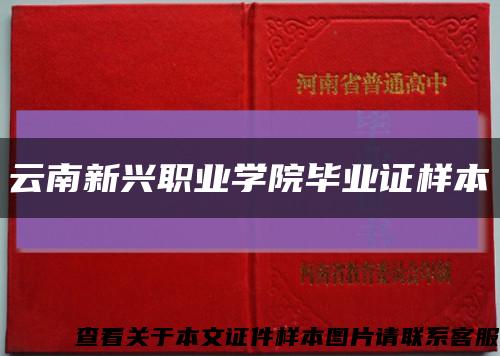 云南新兴职业学院毕业证样本缩略图