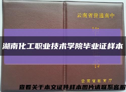 湖南化工职业技术学院毕业证样本缩略图