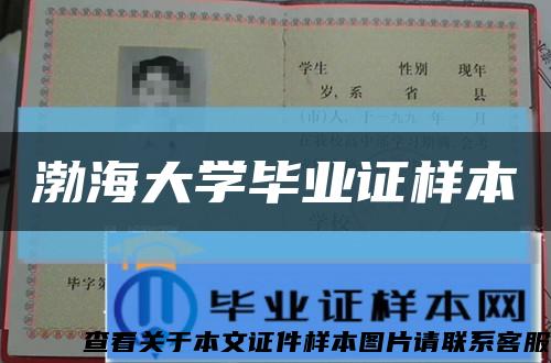 渤海大学毕业证样本缩略图