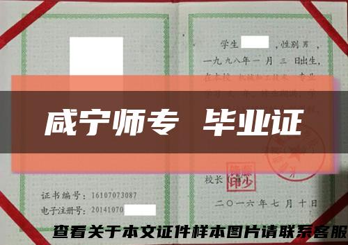 咸宁师专 毕业证缩略图