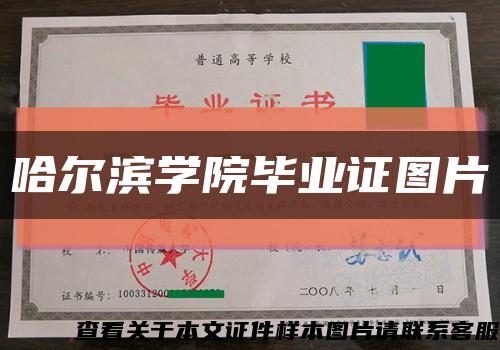 哈尔滨学院毕业证图片缩略图