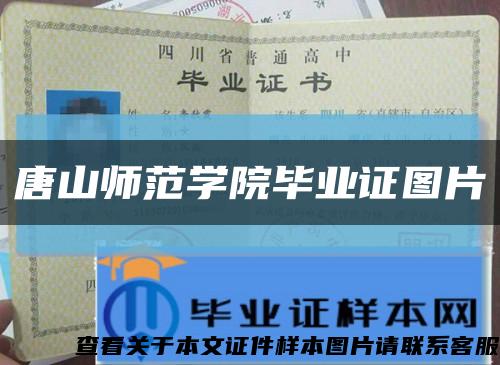 唐山师范学院毕业证图片缩略图