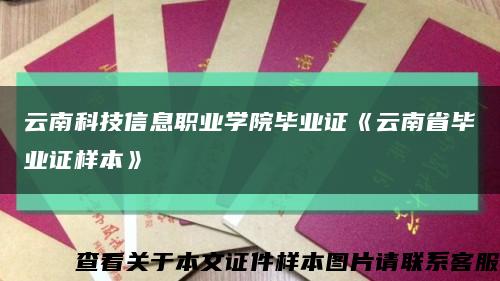 云南科技信息职业学院毕业证《云南省毕业证样本》缩略图