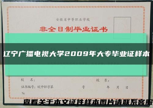 辽宁广播电视大学2009年大专毕业证样本缩略图