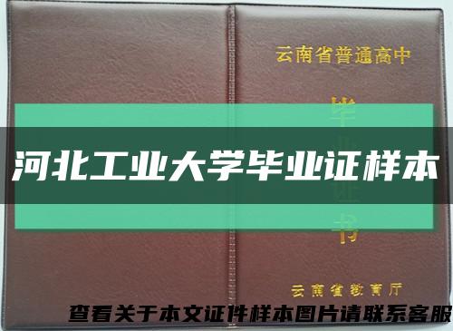 河北工业大学毕业证样本缩略图