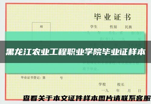黑龙江农业工程职业学院毕业证样本缩略图