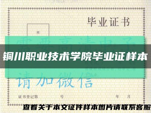 铜川职业技术学院毕业证样本缩略图