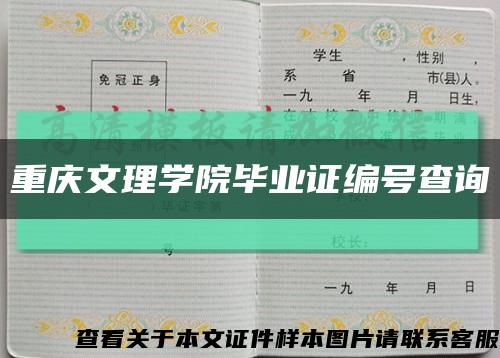 重庆文理学院毕业证编号查询缩略图