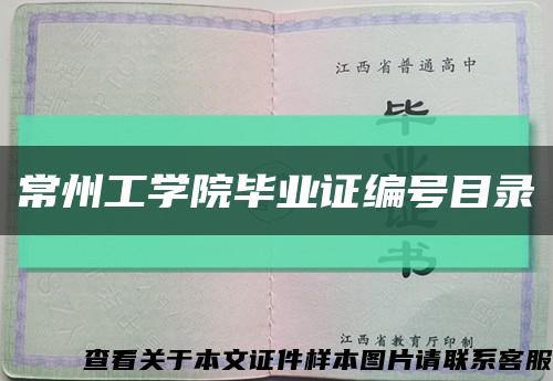 常州工学院毕业证编号目录缩略图