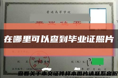 在哪里可以查到毕业证照片缩略图