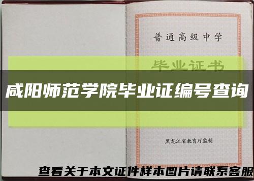咸阳师范学院毕业证编号查询缩略图