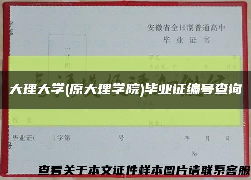 大理大学(原大理学院)毕业证编号查询缩略图