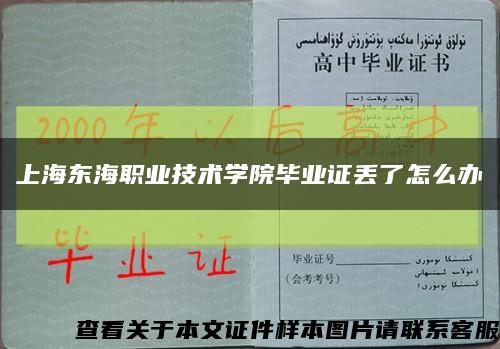 上海东海职业技术学院毕业证丢了怎么办缩略图