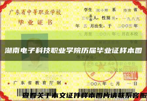 湖南电子科技职业学院历届毕业证样本图缩略图